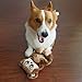 Squeakimals Squeaky Plush Small Dog Toy by Outward Hound, Monkey, 5 unique noisemakers
