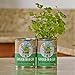 Back To The Roots Garden in a Can Grow Organic Cilantro, 2 Count