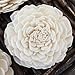 Eco Flower Sola Wood Flowers - One Dozen Wholesale