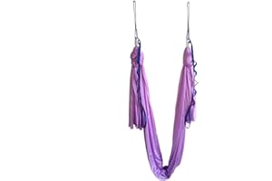 wellsem Aerial Yoga Hammock 5.5 Yards Yoga Swing Pilates Silk Home Fitness Include Carabiner,Daisy Chain, Pose Guide