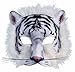 Rubies Forum Novelties Womens Animal Face Mask, White Tiger