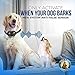 Bark Collar 2 Pack [Upgraded] | Anti-Barking Collar | Smart Chip | Beeps/Vibration/Jolt Mode | For Small Medium and Large Dogs All Breeds Over 6 Lbs