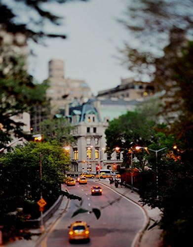 Central Park Fairytail - New York City Photography - 8x10 Photograph - Central Park Print