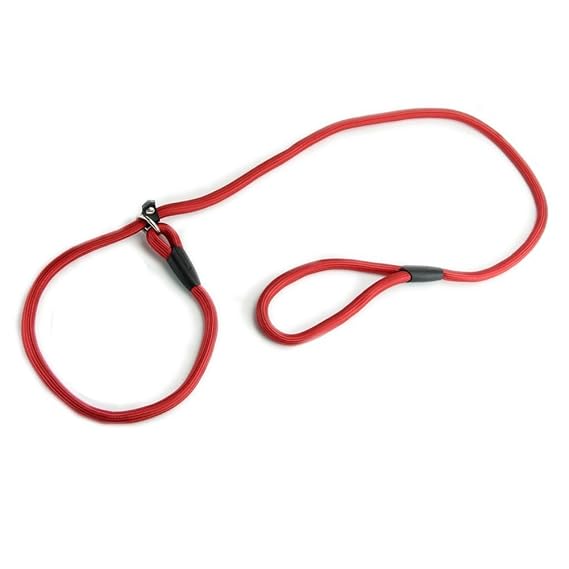 Switty Nylonseil-Hundeflüsterer Cesar Millan Stil Schlupf Zug-Leine-Blei-Kragen-Hot (Rot, 1 cm)