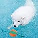 SCENEREAL Interactive Dog Pool Water Toys - Squeaky Rope Ball Floating Toy for Dogs Pets Playing & Training 15-inch