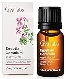 Egyptian Geranium Essential Oil - A Floral Revitalization of Youthful Beauty (10ml) - 100% Pure Therapeutic Grade Geranium Oil