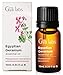 Egyptian Geranium Essential Oil - A Floral Revitalization of Youthful Beauty (10ml) - 100% Pure Therapeutic Grade Geranium Oil