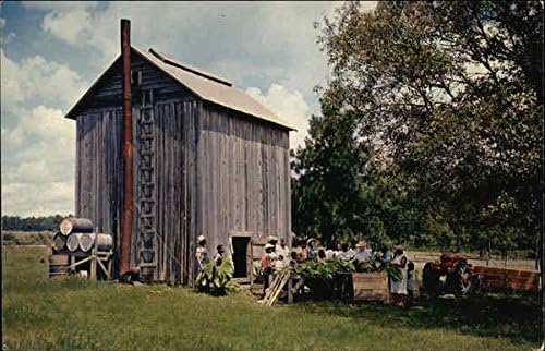 Tobacco Barn Claxton Georgia Ga Original Vintage Postcard At