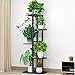 Flower Plant Stand Indoor 5 Tier Metal Plant Stand Flower Pots Stander Display Pots Holder (Black)thumb 1