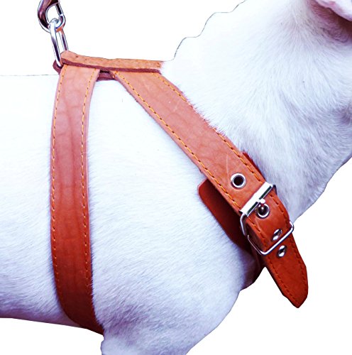 Orange Genuine Leather Dog Harness, Medium. 25"-30" Chest, 1" Wide Adjustable Straps