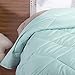 Bedsure Designs Reversible Down Alternative Comforter with Corner Ties, Twin - Mint/Tan
