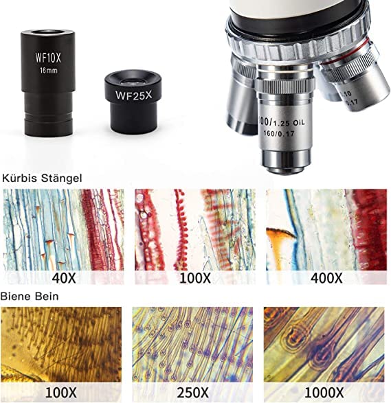 SWIFT Binocular Compound Microscope SW350B, 40X2500X Magnification,TwoLayer Mechanical Stage