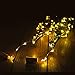 AlleTechPlus 6 Pack 20-LEDs Spark Wine Bottle Light, Cork Shape Battery Copper Wire String Lights for Bottle DIY, Christmas, Wedding and Party Décor (Warm White)