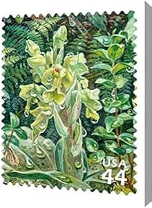 Amazon.com: PrintArt GW-POD-43-3579-19x24 Jewel Orchid, 19