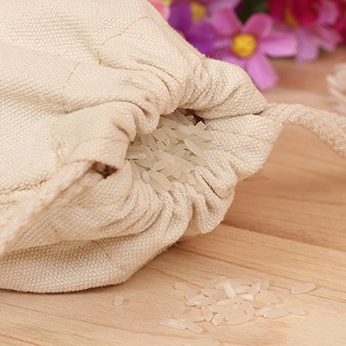 image for Bister Pack of 4 Canvas Coin Money Sacks Bag Deposit Change Bags Trans