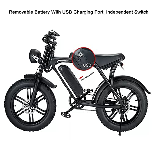 Fat Tire Electric Bike for Adults, 750W Electric Bicycle 20" Commuter Ebike OffRoad Mountain