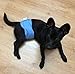 Washable Male Dog Diapers(Pack of 3), Premium Reusable Belly Bands for Male Dogs, Durable Male Dog Belly Wrap, Comfy Doggie Diapers