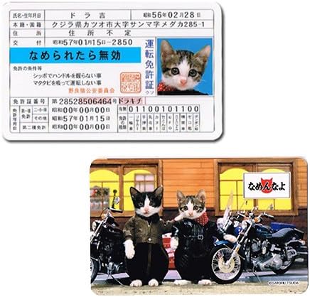 Amazon なめんなよ 免許証 026 なめねこ おもちゃ おもちゃ