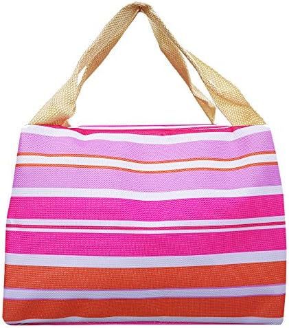 iEverest Insulated Lunch Bag Lunch Box Tote Cooler Zipper Bag Bento Lunch Pouch Handbag for School Work Office Picnic Reusable Lunch Bag-Blue and Green Stripes