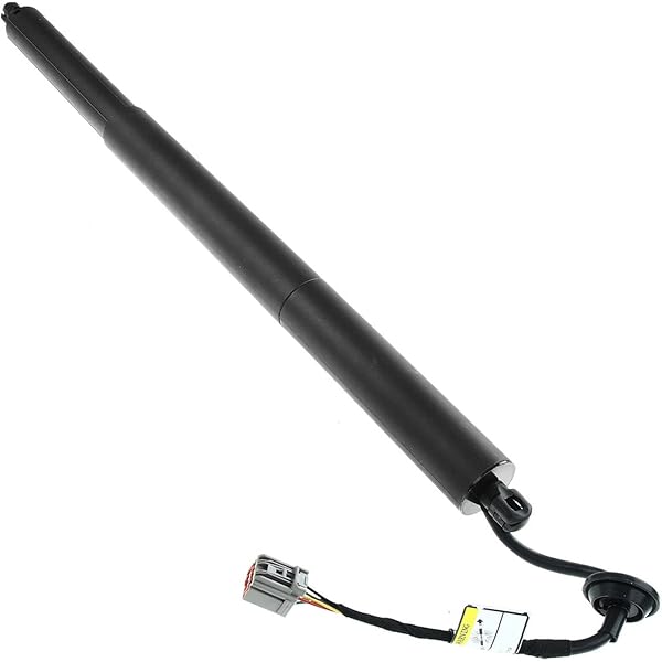 Amazon.com: Sachs SG203003 Lift Support : Automotive