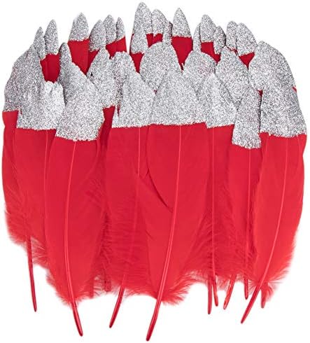 Vidillo Feathers for Crafts, 40 Pcs Goose Gold/Silver Dipped Natural Red/Black Feathers for DIY Dream Catchers Craft…