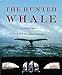 The Hunted Whale