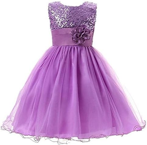 HLWLWOLFOYC Little Girls Sequin Mesh Sleeveless Flower Party Tulle Dress, Purple, 2-3Y/T100