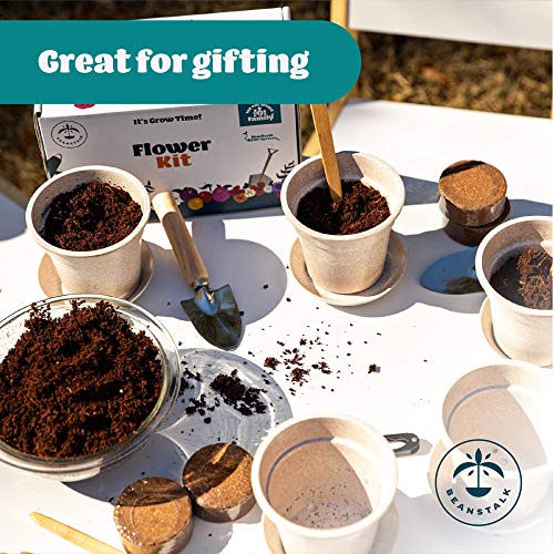 Flower Growing Kit by Beanstalk, 5 Types of NonGMO Flower Seeds