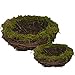 Forevercute Set of 2 (6''& 8'') Easter Faux Natural Moss,Rattan and Twig Bird's Nest (No Bird),Handmade Dry Bird nest for Home Decor