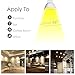 Sunix 10pcs 4.5W MR11 LED Bulbs, 2835 SMD LED, 190-210LM, Dimmable, Warm White, 3000K, 36 Degree Beam Angles, Recessed Spotlight Bulb LD893