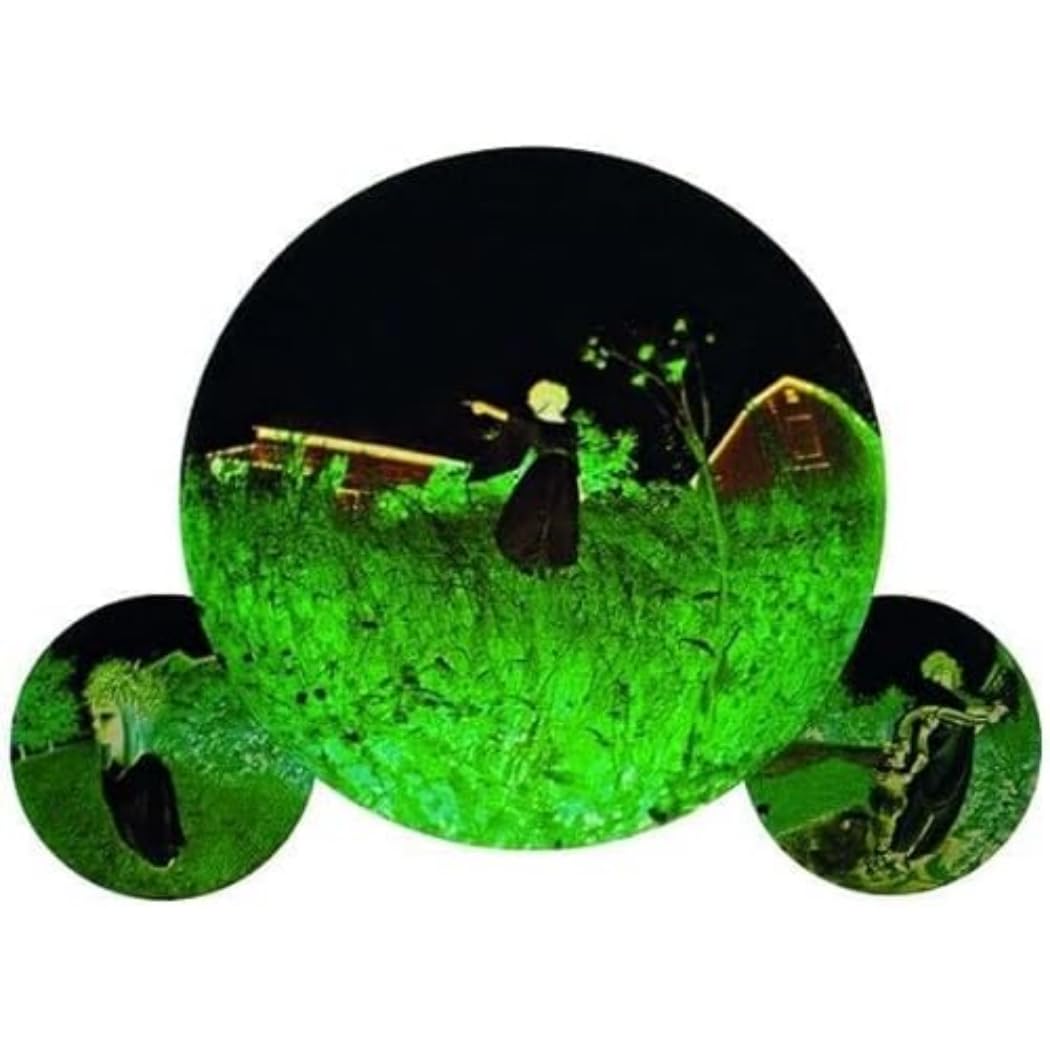 The Advancement [VINYL]