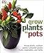 Grow Plants in Pots