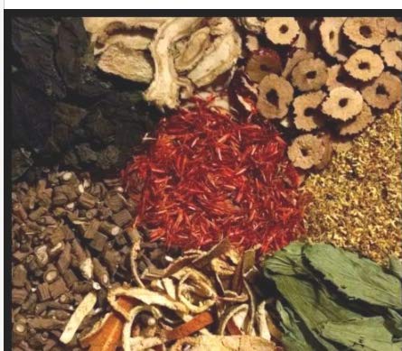 Fresh Costus Root - Saussurea costus Rhizome Slices Wicca Dried Incense x Herb 1 oz