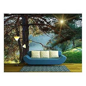 Pine Tree and Sun Rays Through The Branches at Misty Morning - Removable Wall Mural | Self-Adhesive Large Wallpaper - 66x96 inches