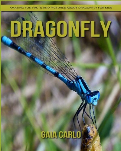 Dragonfly: Amazing Fun Facts and Pictures about Dragonfly for Kids
