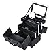 SONGMICS Makeup Organizer case Makeup Train Case Mini Alumi Cosmetic Organizer Box with Mirror 2 Trays Black UMUC11B