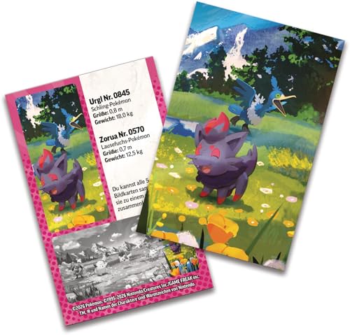 Pokémon-Sammelkartenspiel: Mini-Tin-Box Mega-Entwicklung – Erhabene Helden: Zorua und Urgl (1 Stickerbogen, 1 Pokémon-Bildkarte und 2 Boosterpacks) 3