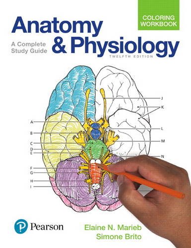 Anatomy+Physiology Coloring Workbook