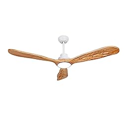 Ceiling Fans with Lights and Remote,60 Inch Unique