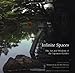 Infinite Spaces: The Art and Wisdom of the Japanese Garden by Joe Earle, Sadao Hibi