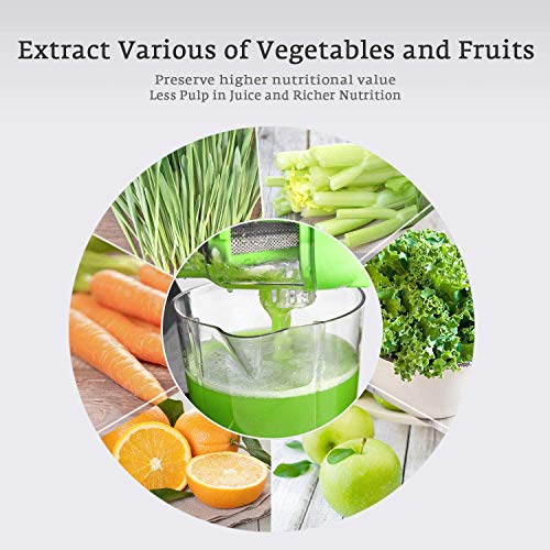 Juicer Machines, Cold Press Juicer Machine Easy to Clean, Quiet Motor