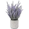 DILATATA Lavender Flowers Artificial Lavender Decor Fake Lavender Plant in Cement Pot Faux Plants in Pots for Home… 519upTUfonL