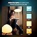 Philips Hue 2-Pack White Ambiance BR30 60W Equivalent Dimmable LED Smart Flood Light (Compatible with Alexa Apple and Google Assistant) (Renewed)