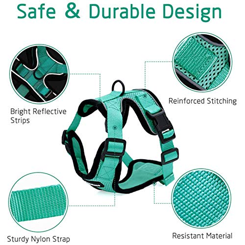 rabbitgoo Cat Harness and Leash for Walking, Escape Proof Soft Adjustable Vest Harnesses for