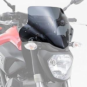 fz windscreen