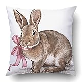 Emvency Square 18x18 Inches Decorative Pillowcases Easter Rabbit Bunny Engrave Vintage Graphic Cotton Polyester Decor Throw Pillow Cover With Hidden Zipper For Bedroom Sofa
