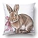Emvency Square 18x18 Inches Decorative Pillowcases Easter Rabbit Bunny Engrave Vintage Graphic Cotton Polyester Decor Throw Pillow Cover With Hidden Zipper For Bedroom Sofa