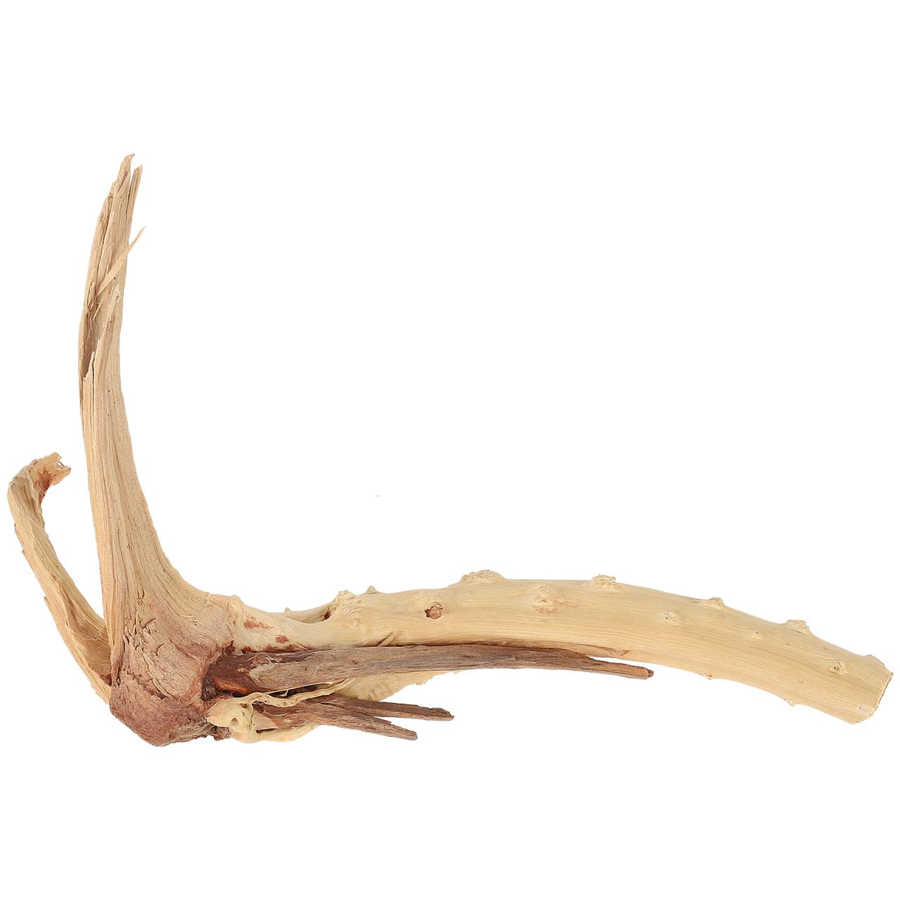 Kisangel Tararium Decor Wood Aquarium Branch Aquarium Decor Wood for Planting Aquatic Plants Lowering Ph Random Fish Tank Ornament Aquascaping‌