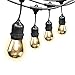 Feit Electric 48ft Indoor/Outdoor 24 Socket String Lights 11 Watt Bulbs 1141506