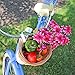 Huffy 00697BK Cruiser Bike Wicker Basket w/White Accents